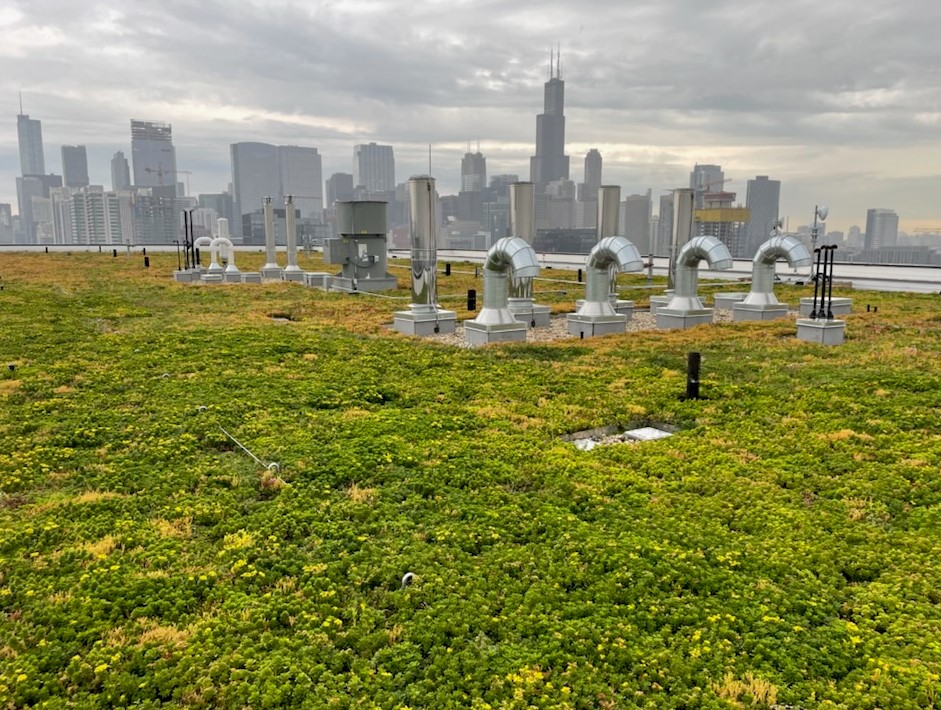 Garden Roof | Sustainable Green Roof Technology