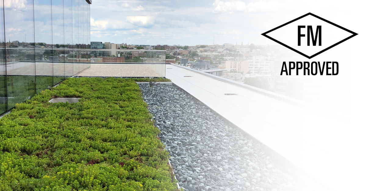 vegetated roof, green roof, amenity deck