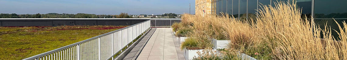 green roof