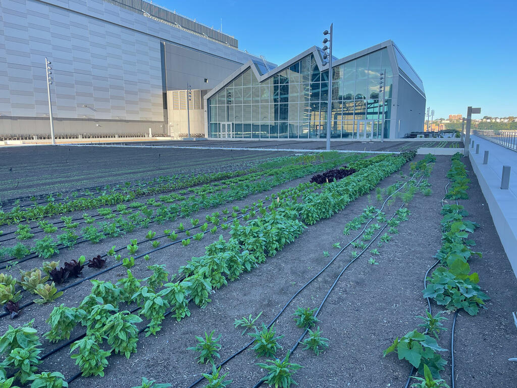 Jacob K. Javits Convention Center Expansion