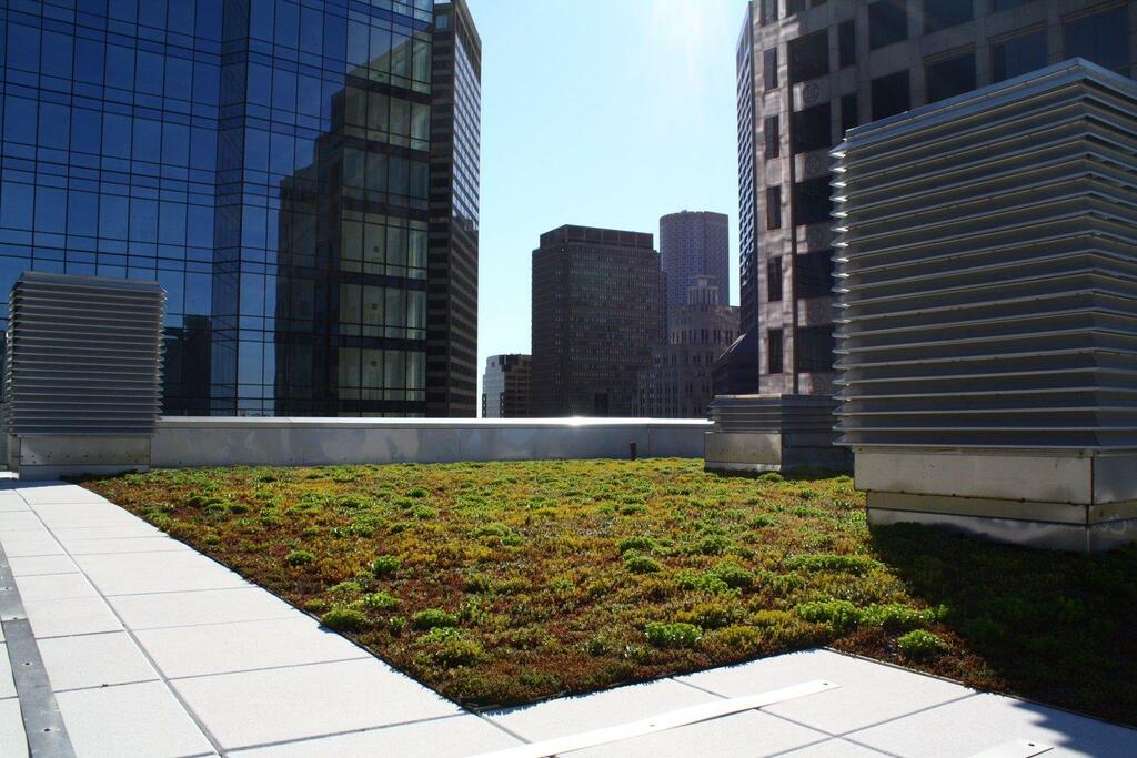 Green roof restoration project atop the Millennium Tower Burnham Building