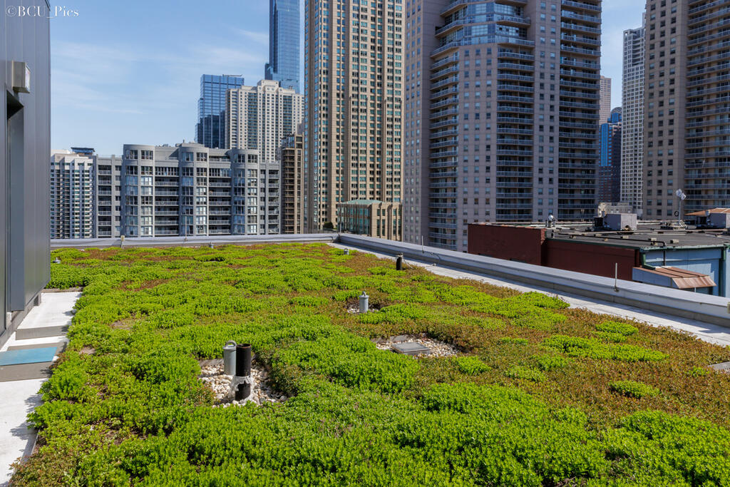 green roof space on Clark and Grand Hotel building