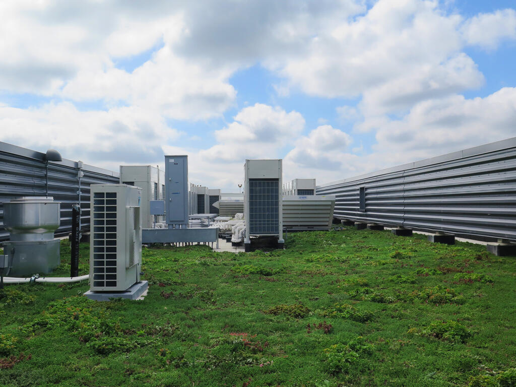 vegetated roof, green roof, amenity deck