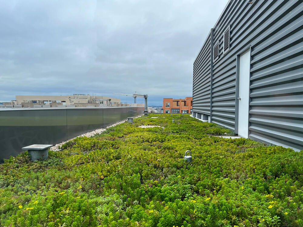 Lydian Apartments, pool deck amenity space and green roof