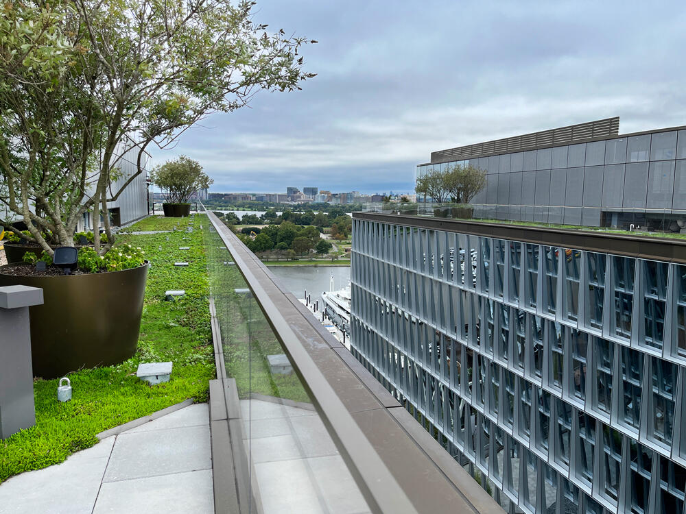 vegetated roof, green roof, amenity deck