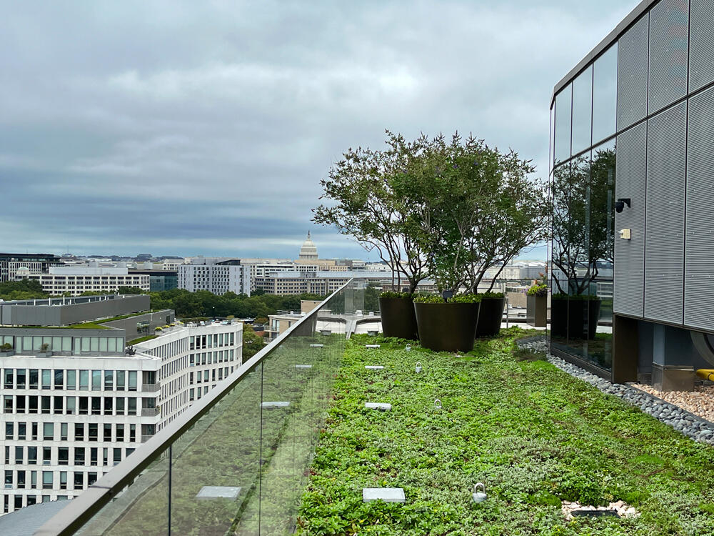 vegetated roof, green roof, amenity deck