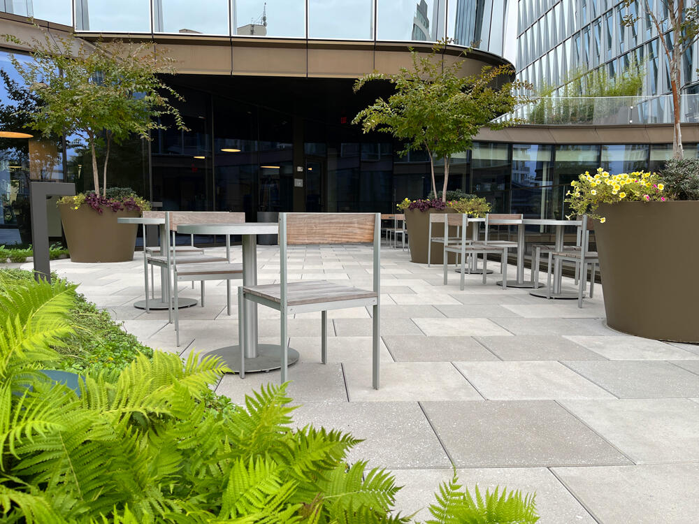 vegetated roof, green roof, amenity deck