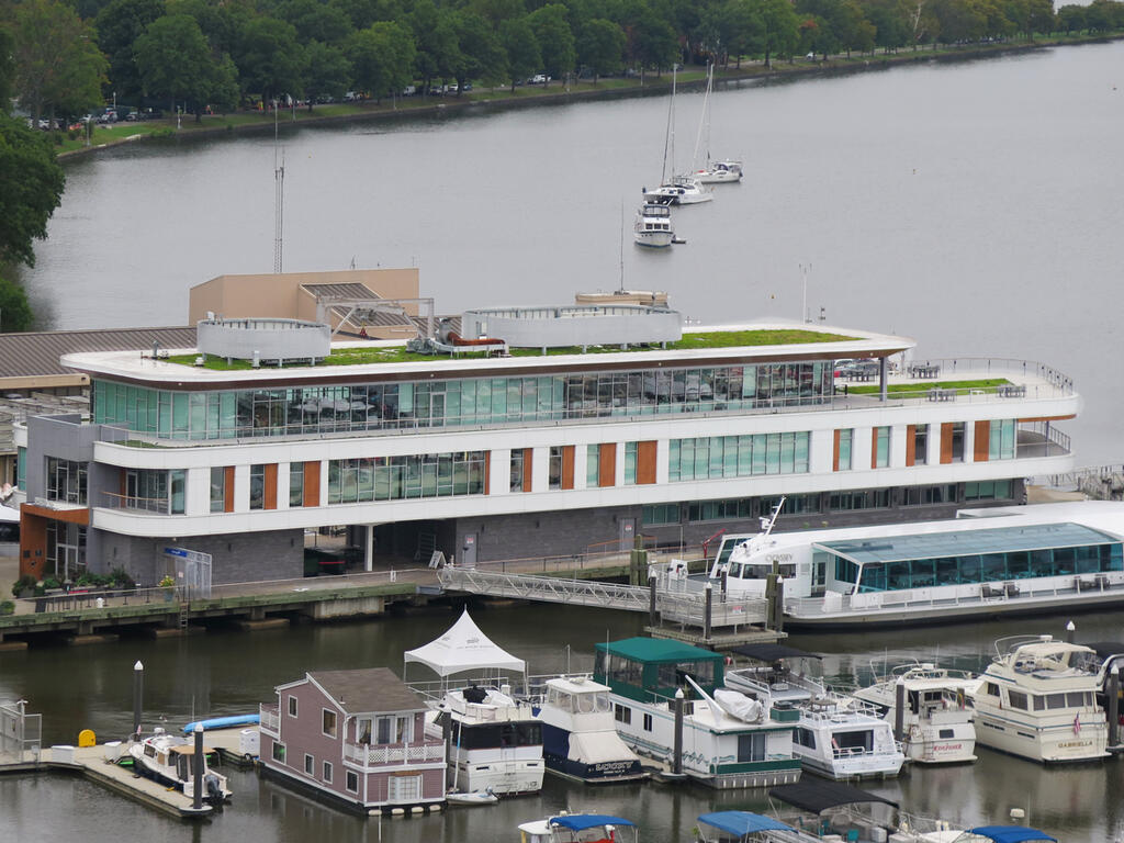 vegetated roof, green roof, amenity deck