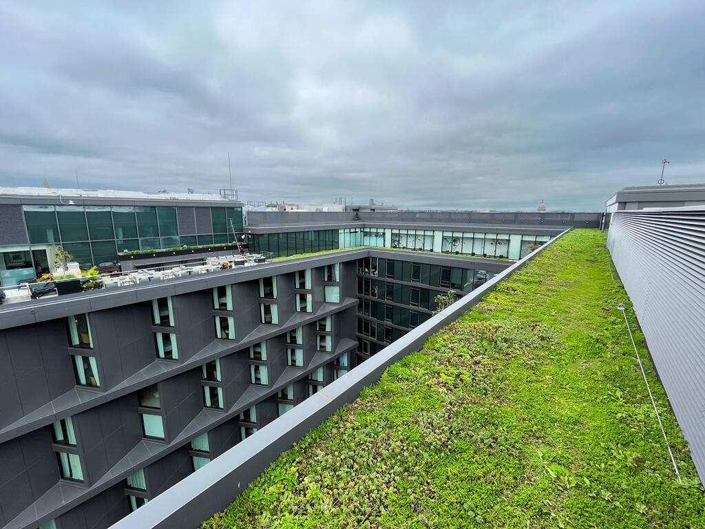 vegetated roof, green roof, amenity deck