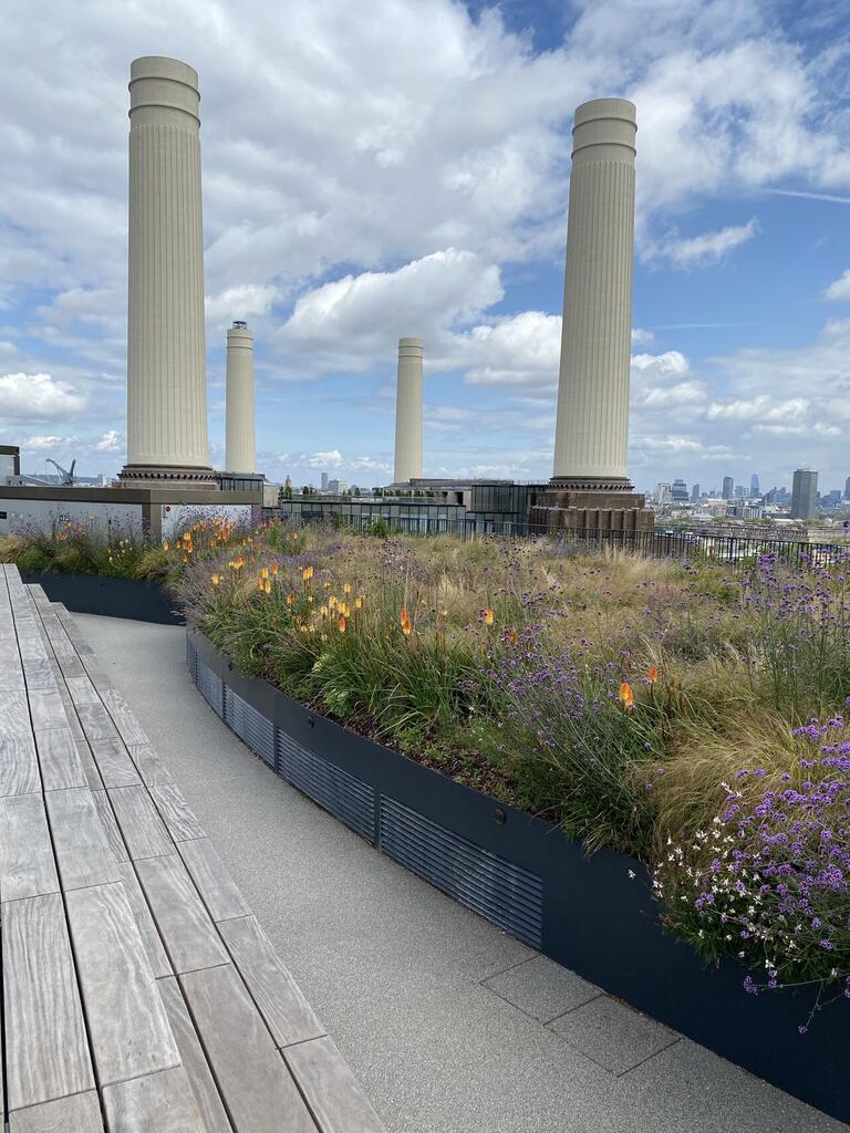 vegetated roof, green roof, amenity deck