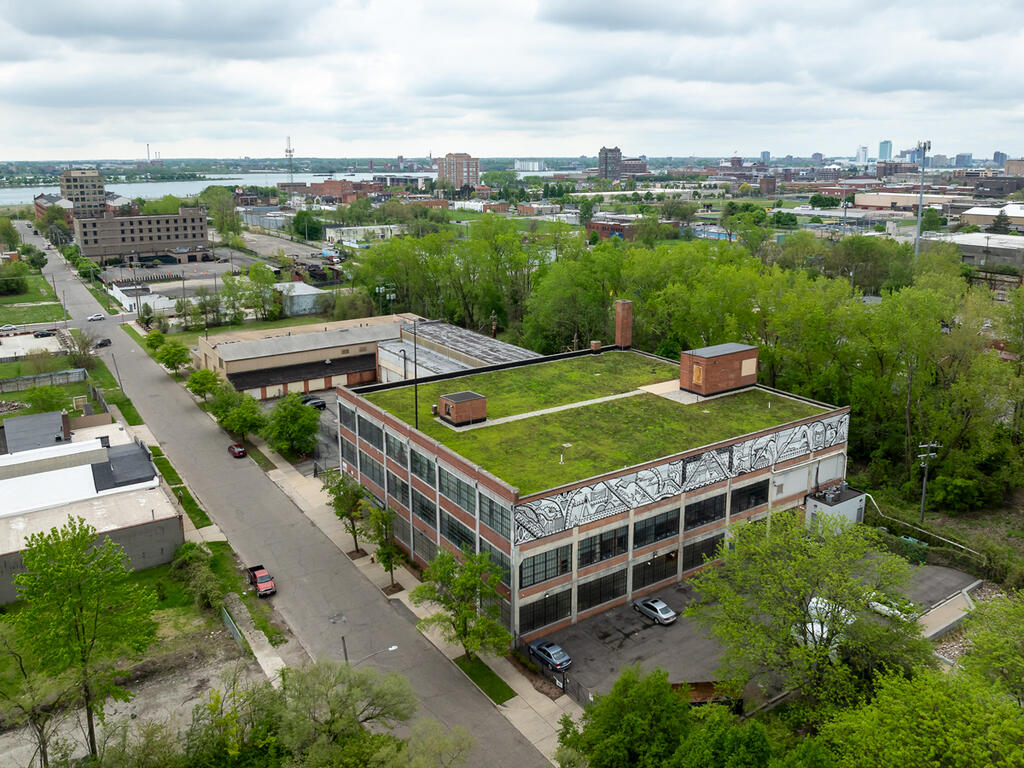 vegetated roof, green roof, 