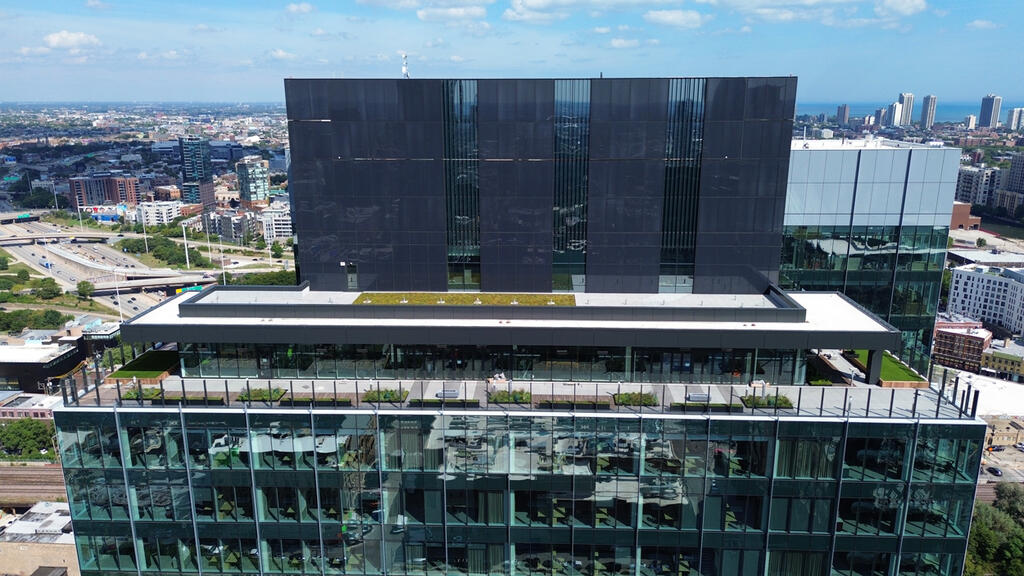 vegetated roof, green roof, amenity deck