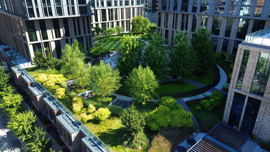 vegetated roof, green roof, amenity deck