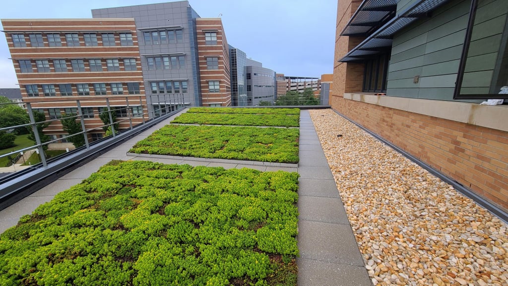 Biomedical Sciences Building