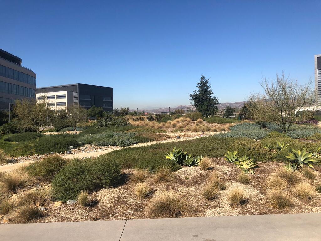 Broadcom Campus