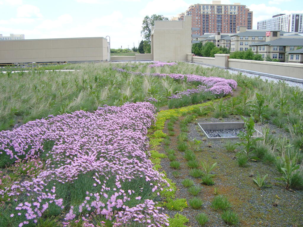 North Bethesda Center