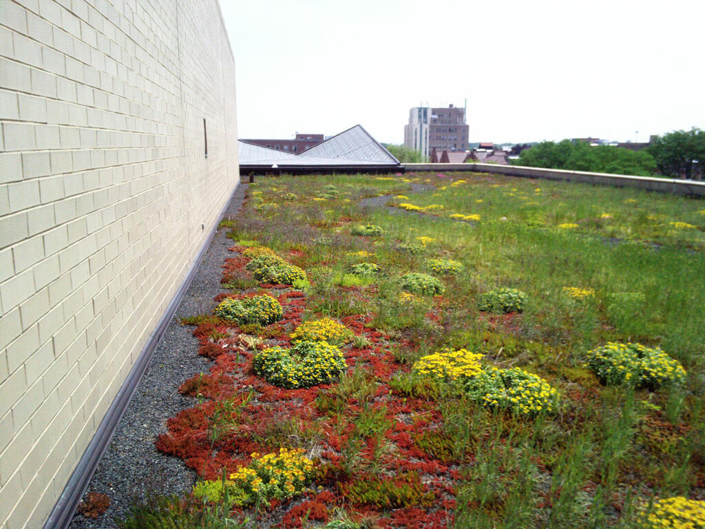 Oak Park Library